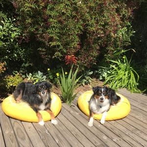 Meet your Posher, Janet